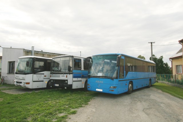 77760004